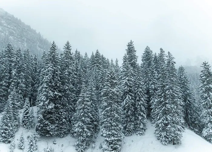 New Kristberg In - New Opening Since December 2025